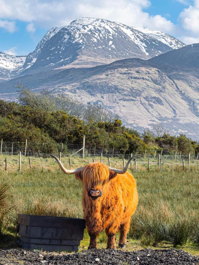 フォート・ウィリアム Ben Nevis Manor Bed & Breakfast エクステリア 写真
